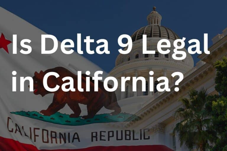 Is Delta 9 Legal in California Guide