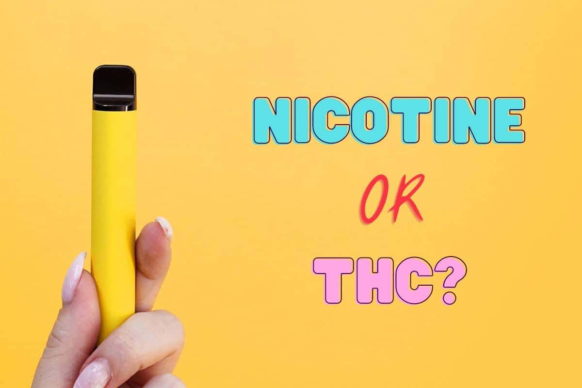 Nicotine or THC in an elf vape bar