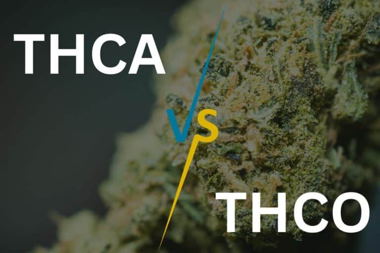 THCa vs THCO comparison guide