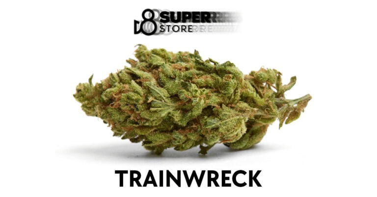 Trainwreck feminized cannabis seeds, derived from the popular Trainwreck strain.