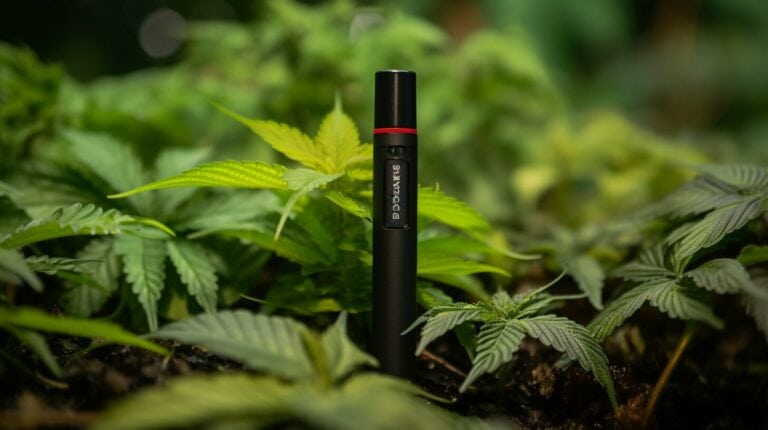 hemp hookahzz disposable vape pen review