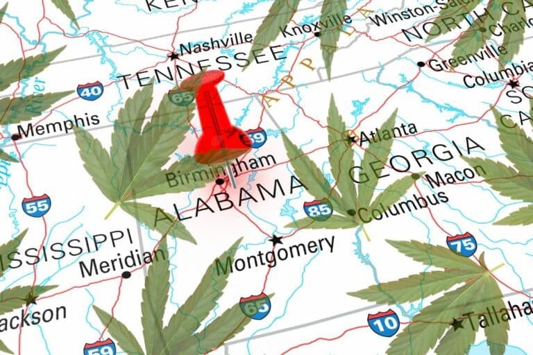Alabama state on map of U.S with marijuana leaves in surrounding