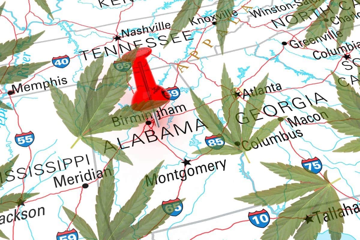 Alabama state on map of U.S with marijuana leaves in surrounding