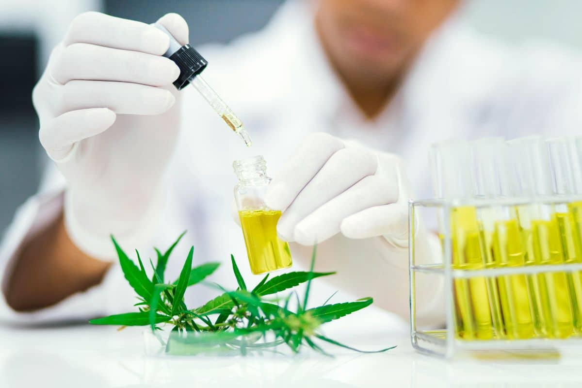 Doctor holding CBD oil bottle and preparing dosage 