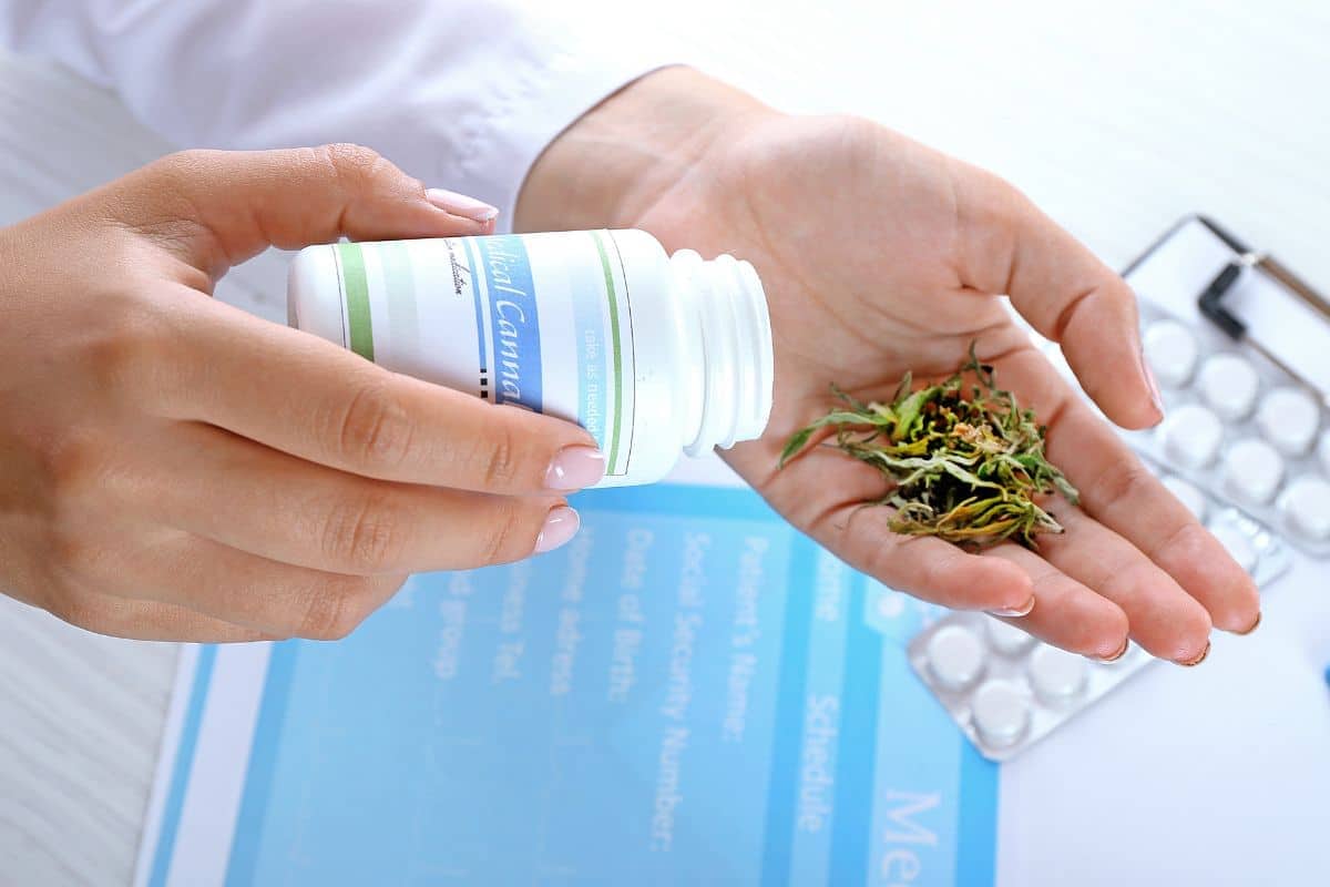 Doctor prescribing delta 9 thc for medical purpose use