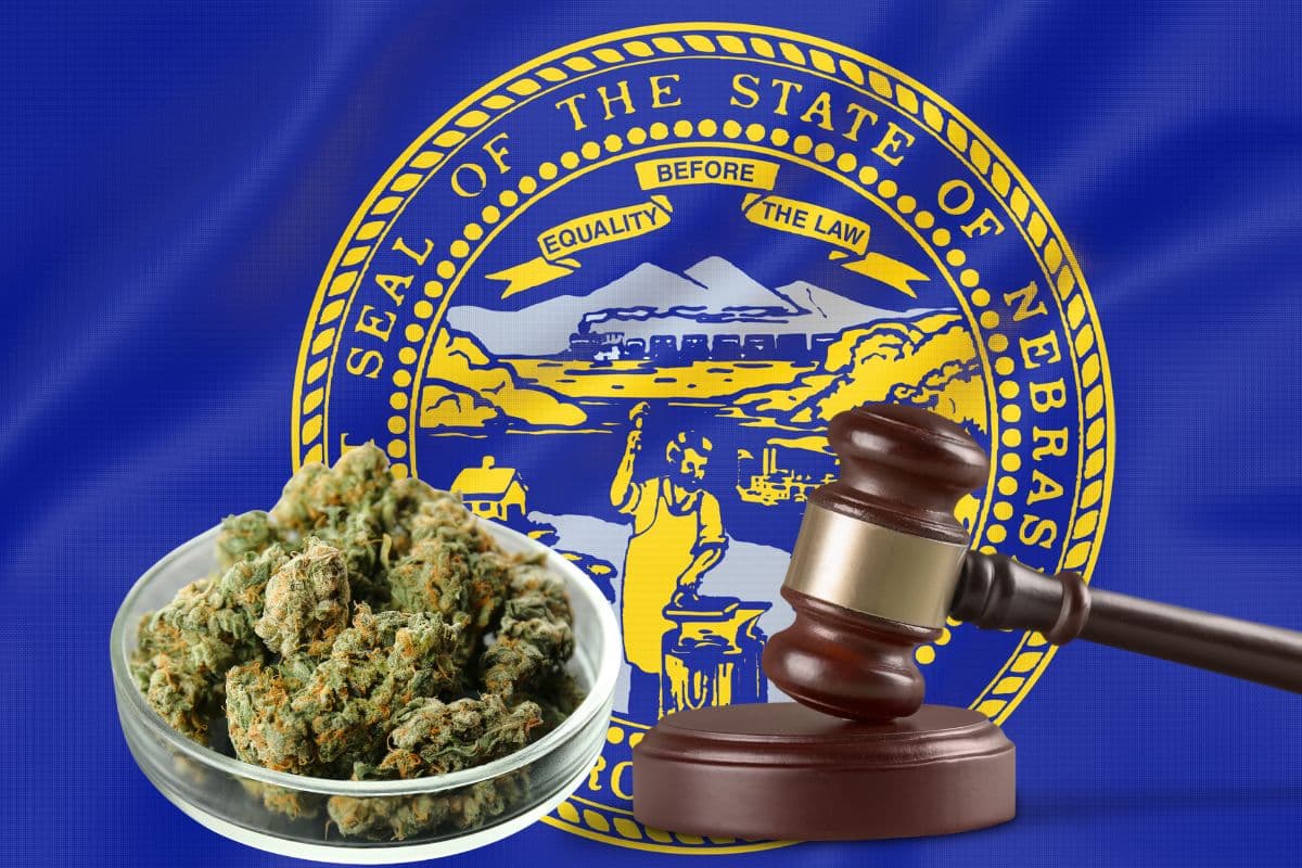Gavel and delta 9 thca products in front of Nebraska flag