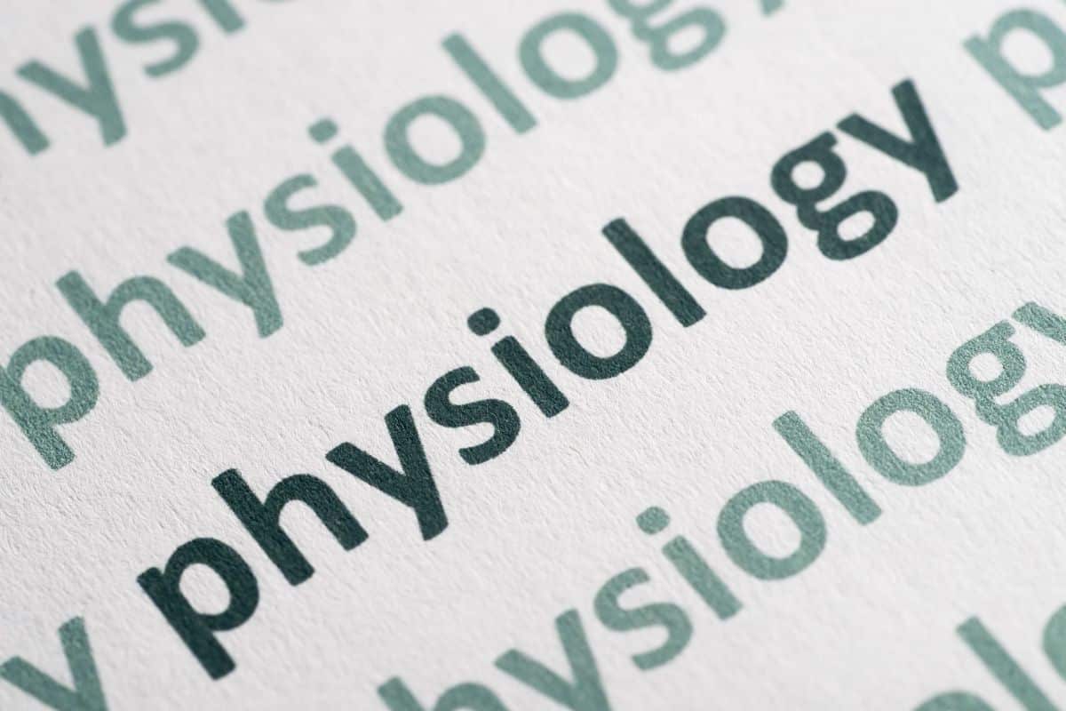 Physiological Dimension of getting high Physiological Dimension of getting high