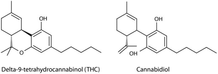 Two diagrams illustrating the structure of TCC and TCD.