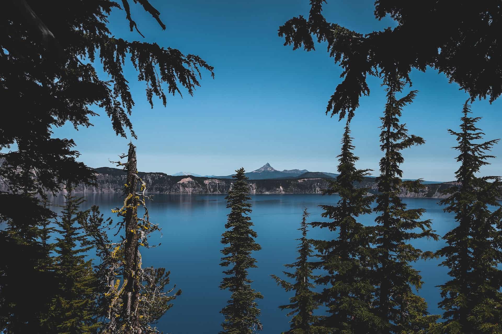 is delta 8 thc legal in oregon