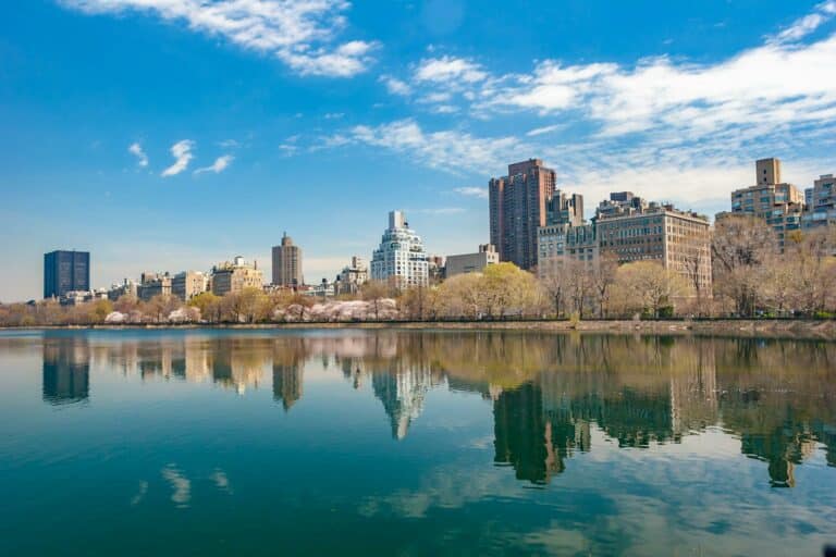 new jersey park