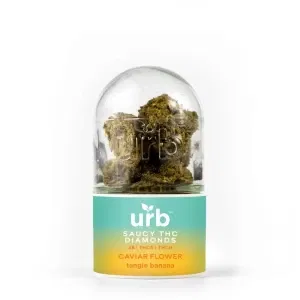 A glass container with Urb Saucy THC Diamond Caviar Flower 3.5g.