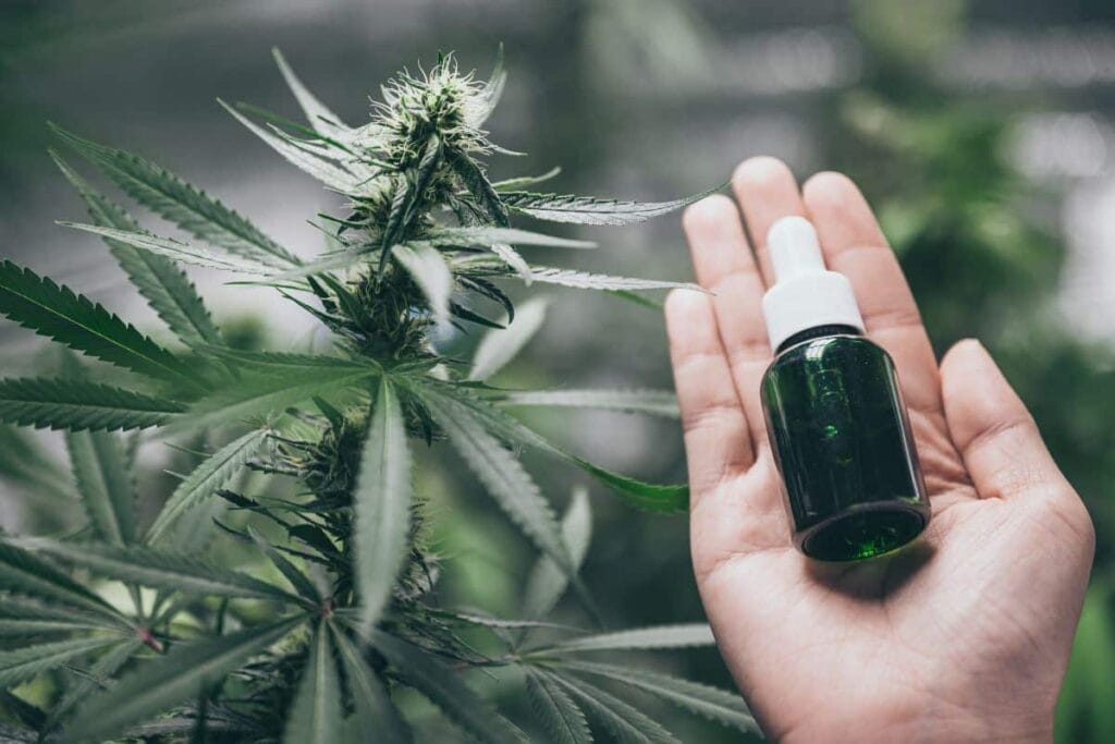 A lady holding hemp derived product