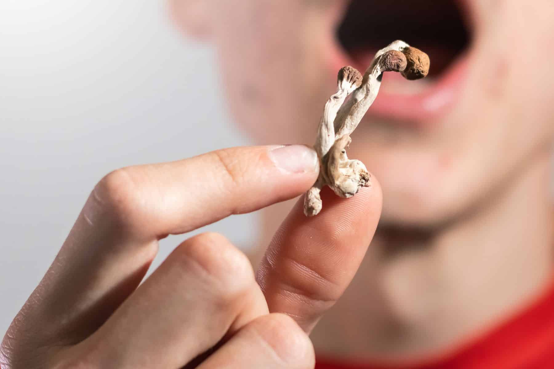 A man ready to have magic mushroom in his mouth