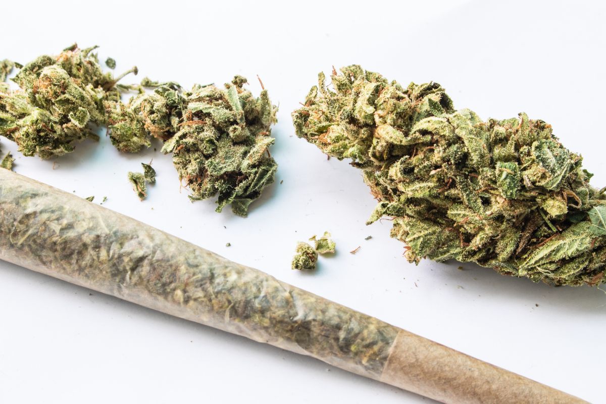 A blueberry gelato strain marijuana pipe next to a piece of marijuana.