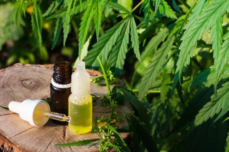CBD bottle with THC in it