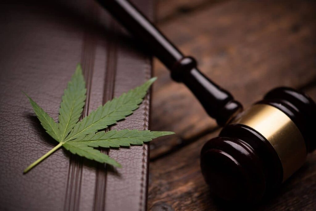 A judge's gavel and marijuana leaf on a wooden table, sparking curiosity about the legal status of THCa in Kentucky.