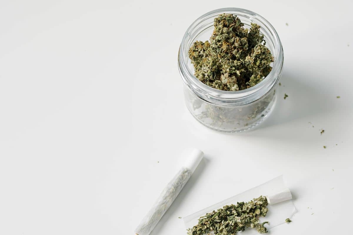Grape Jelly Cannabis Strain Review