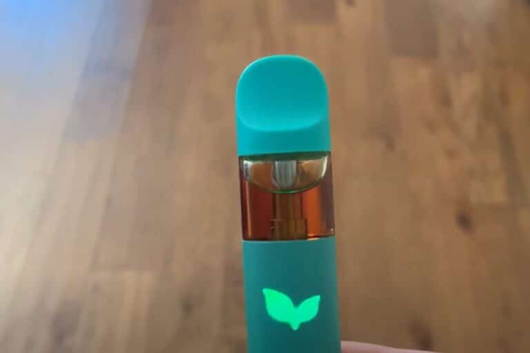 A person holding an electronic vaporizer with a green light on it, demonstrating how to turn on the urb vape.