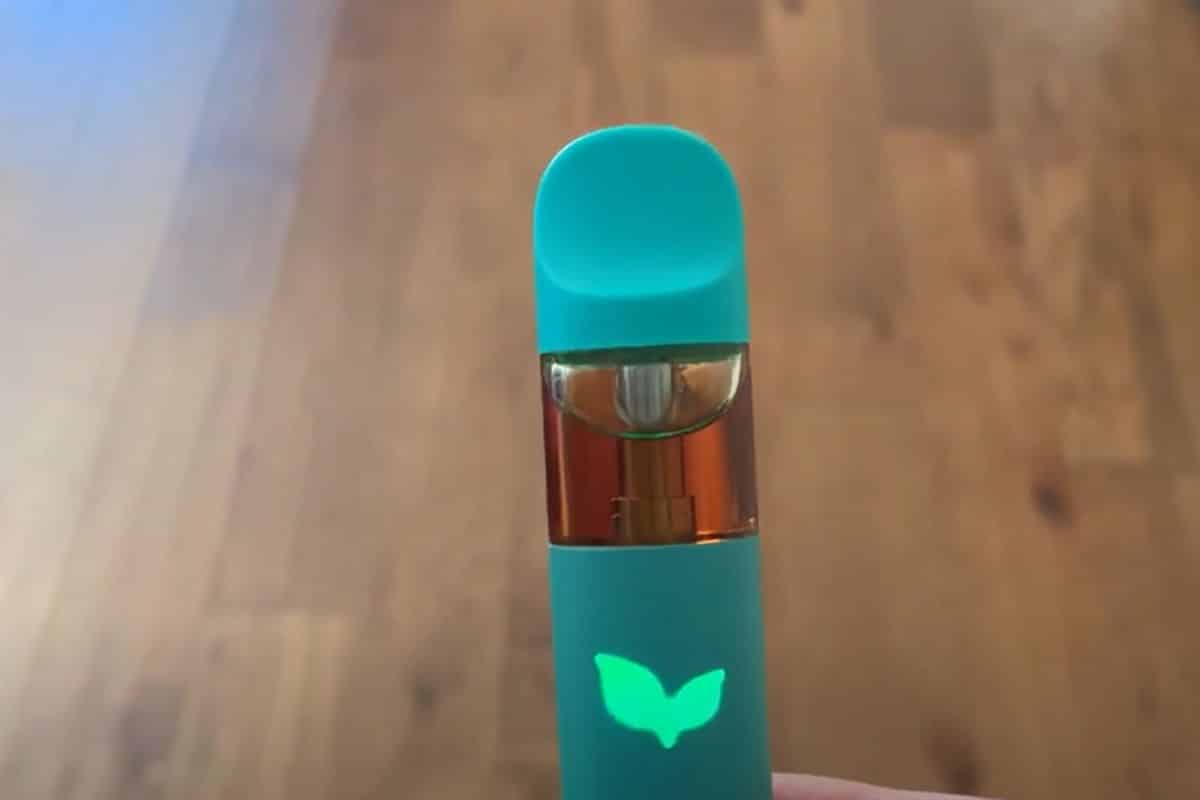 A person holding an electronic vaporizer with a green light on it, demonstrating how to turn on the urb vape.