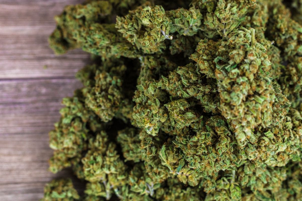 Ice Cream Runtz Cannabis Strain