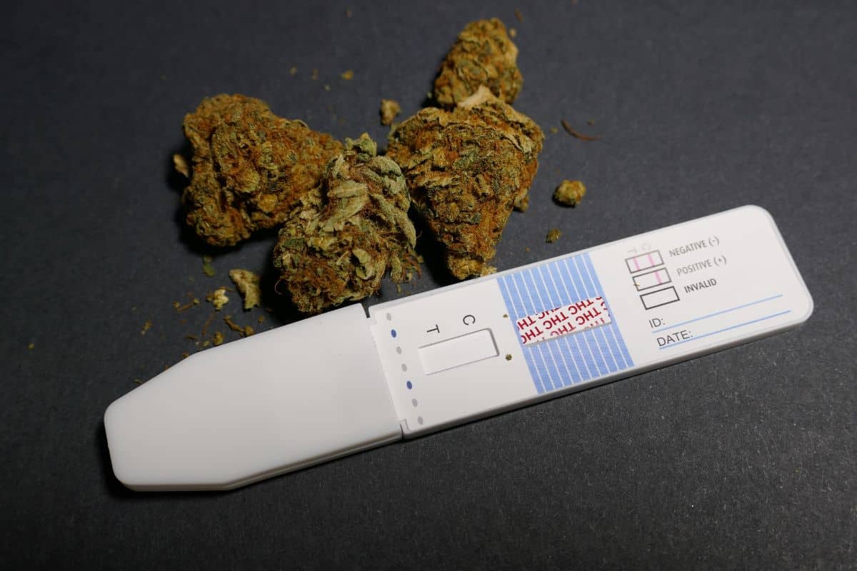 Instrument to test thc in the body and marijuana on other side.