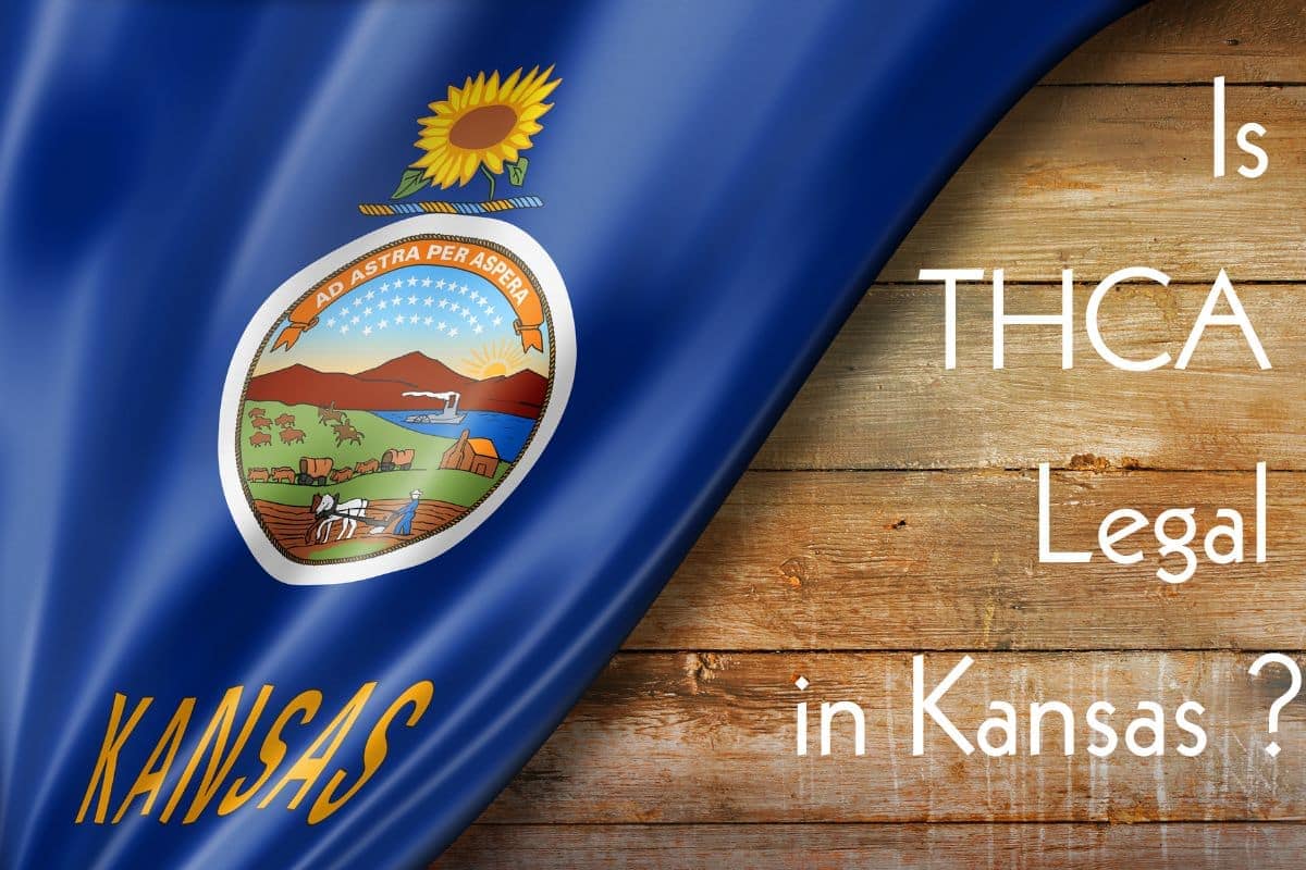 Is thca legal in kansas banner?.