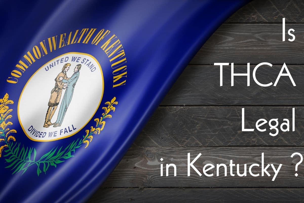 What is thca legal in kentucky banner?.