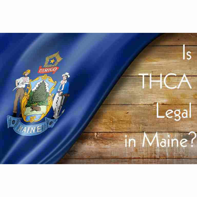 Is thca legal in maine banner?.
