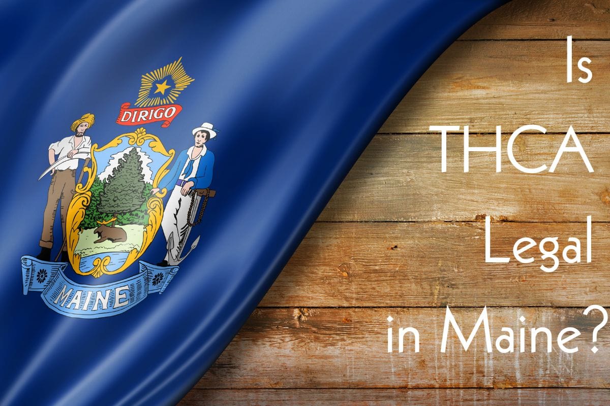 Is thca legal in maine banner?.