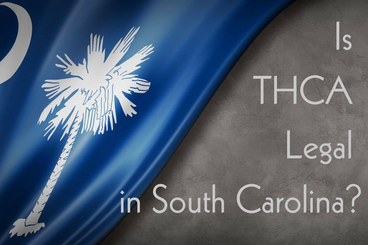 Is thca legal in South Carolina banner