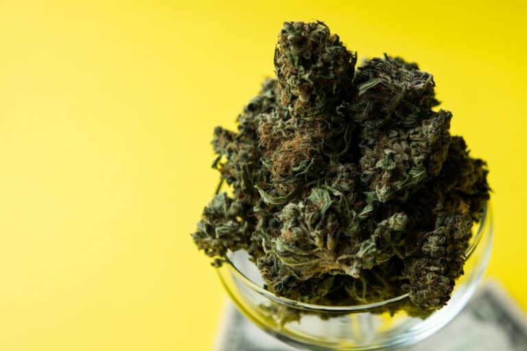 Limonene Cannabis Strain