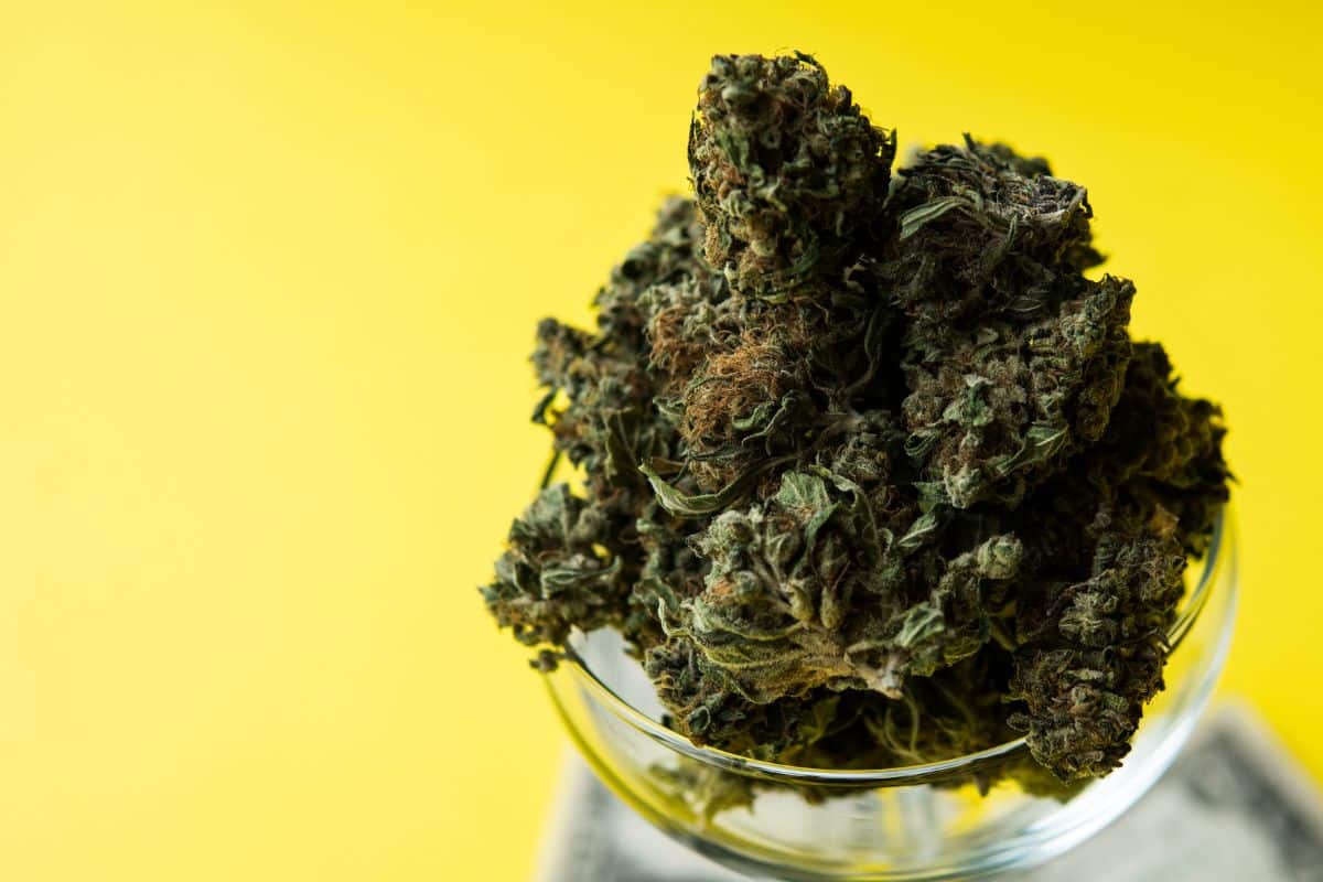 Limonene Cannabis Strain