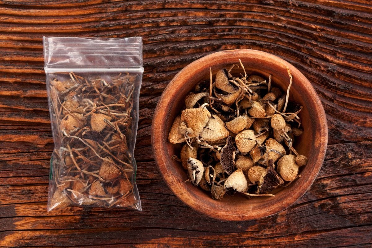 Psilocybin Mushrooms kept in a bowl and in a small plastic bag.