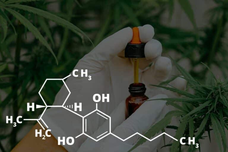 THCa formula and marijuana leaves close up view