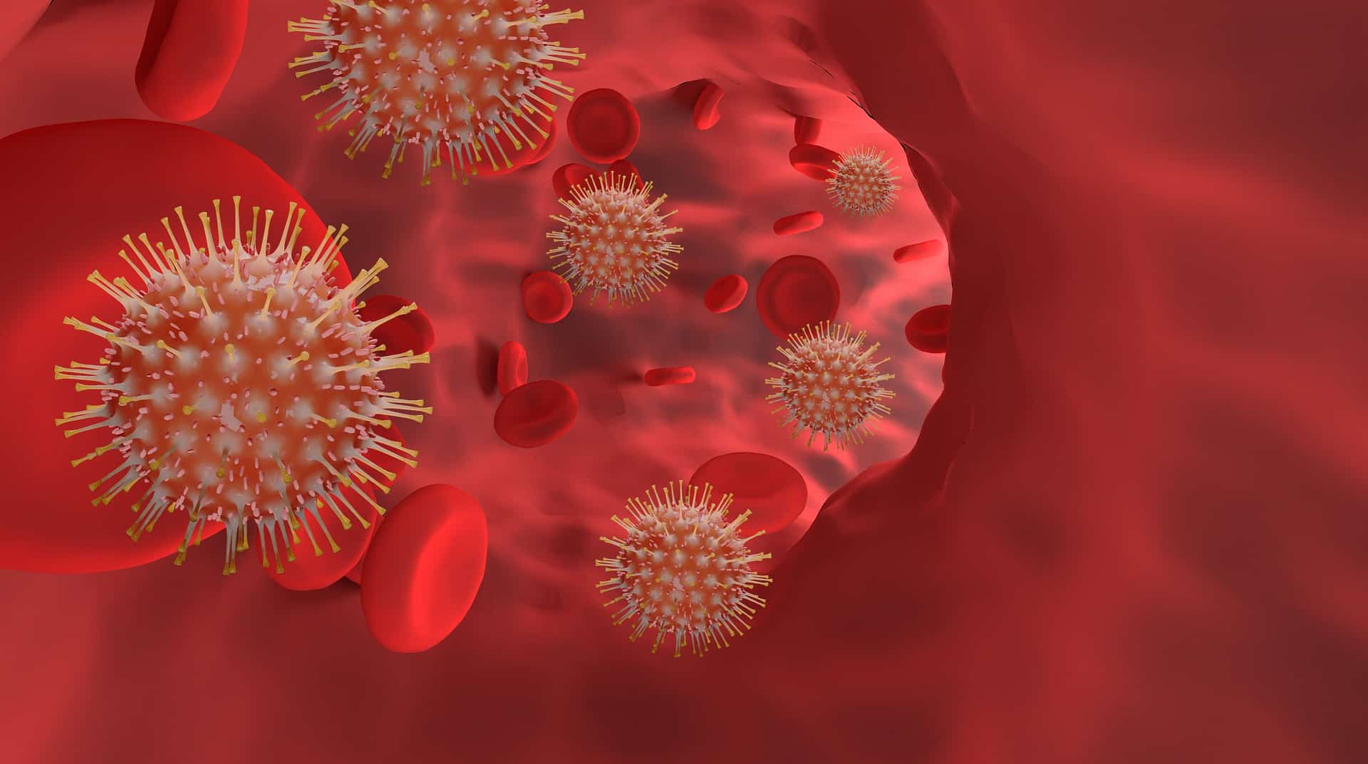 A 3D image of a red blood cell in a blood vessel within the bloodstream