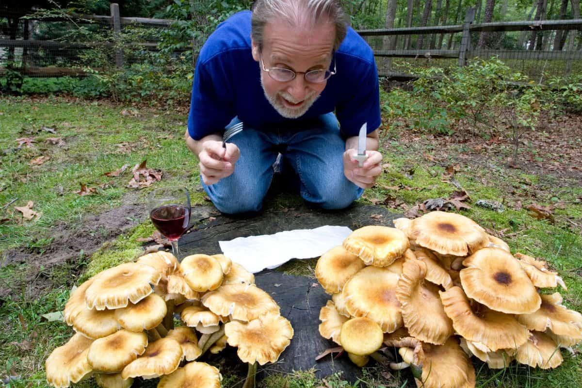 A man growing mushrooms