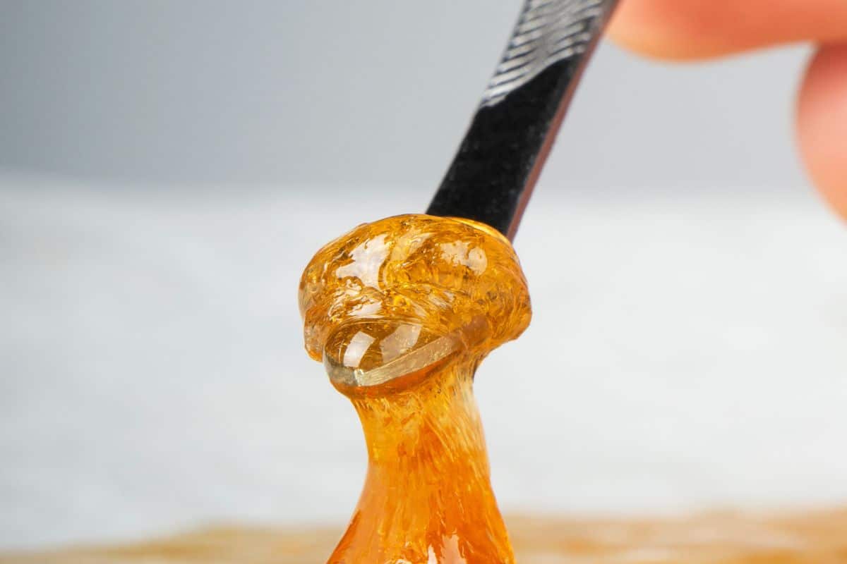 A person is dipping a spoon into a bowl of CBD terp sauce.