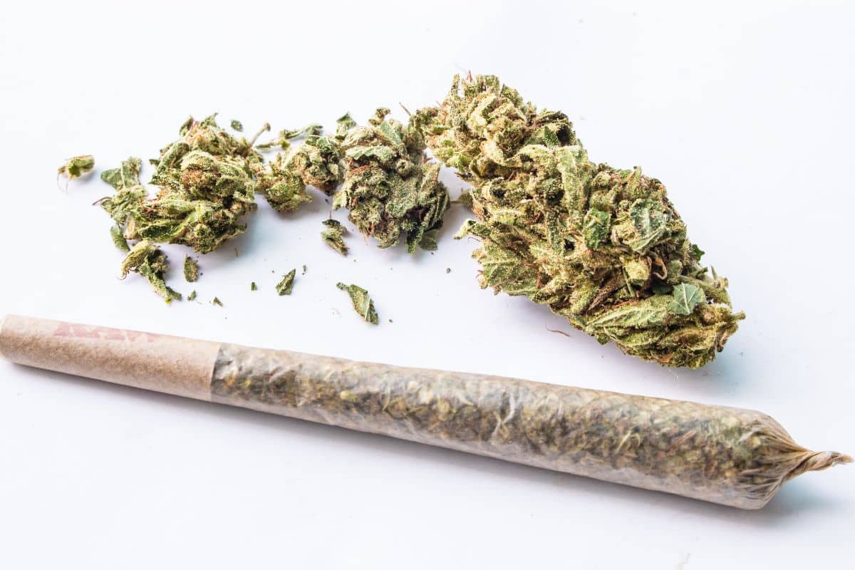 A picture showing whats inside a pre roll
