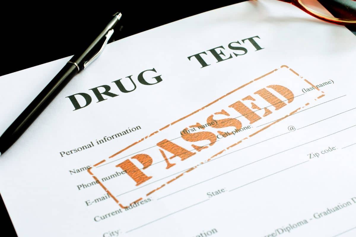 A paper with the words drug test passed on it, indicating a successful outcome in passing a threshold weed drug test.