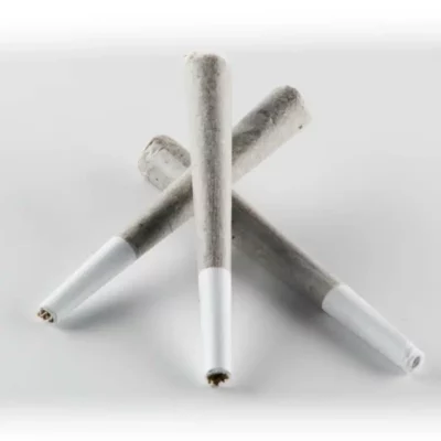 Elyxr LA THCa Infused Joint 1g