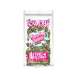 Exodus Indoor THCa Flower Packs 8g Rainbow Gelato