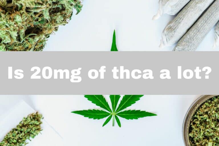 Is 20mg of THCa a lot banner