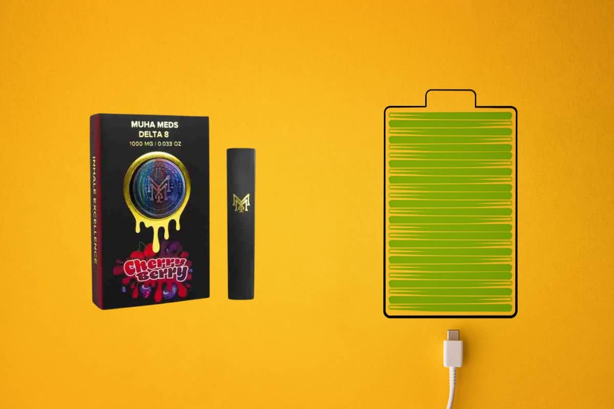 Muha Med Disposable Vape and Charger