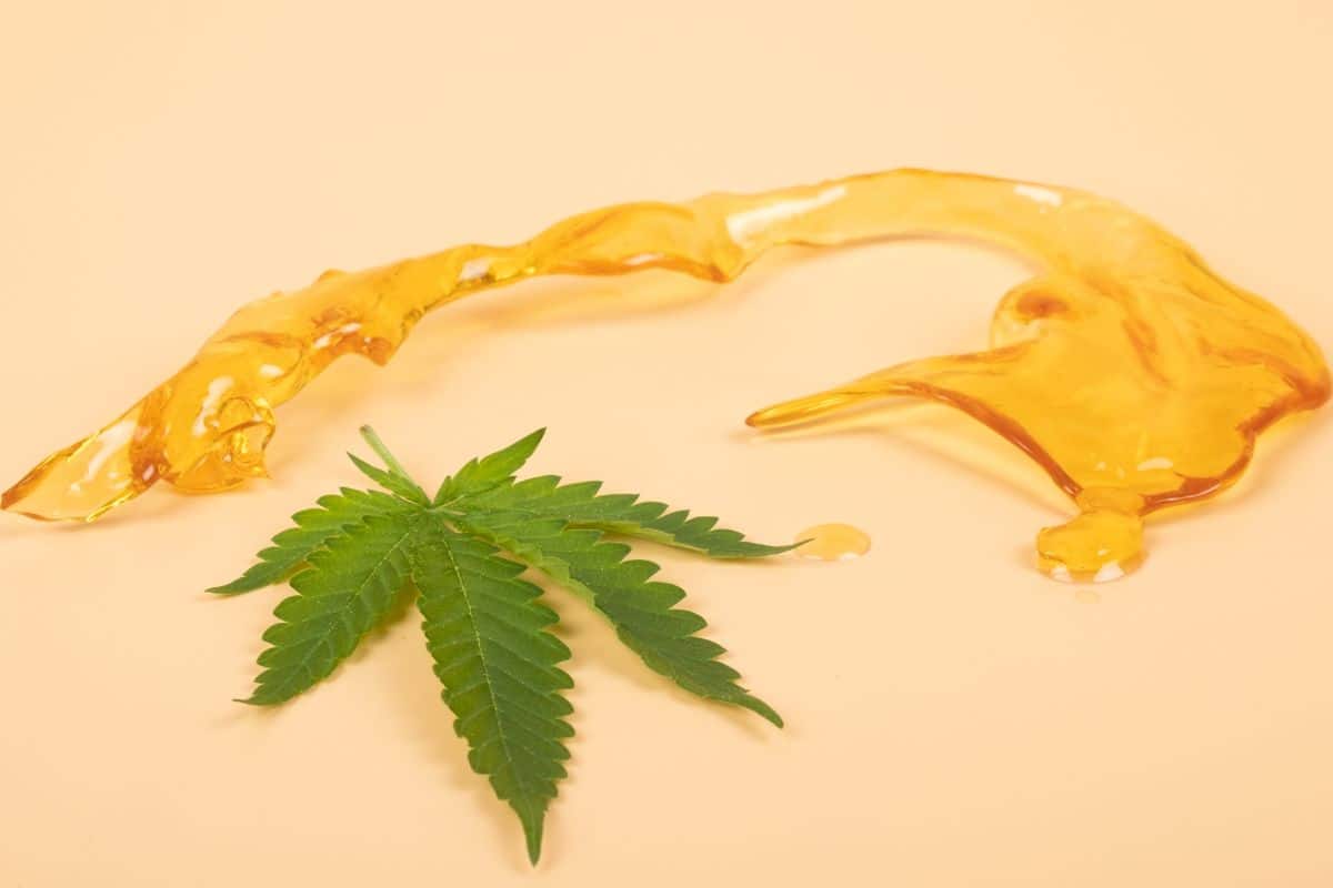 Nug Run Concentrates shatter kept on surface with a marijuana leaf in front of it