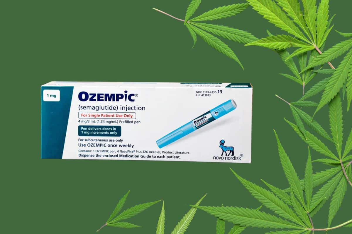 Ozempic drug surrounded by some marijuana leaves depicting their reaction