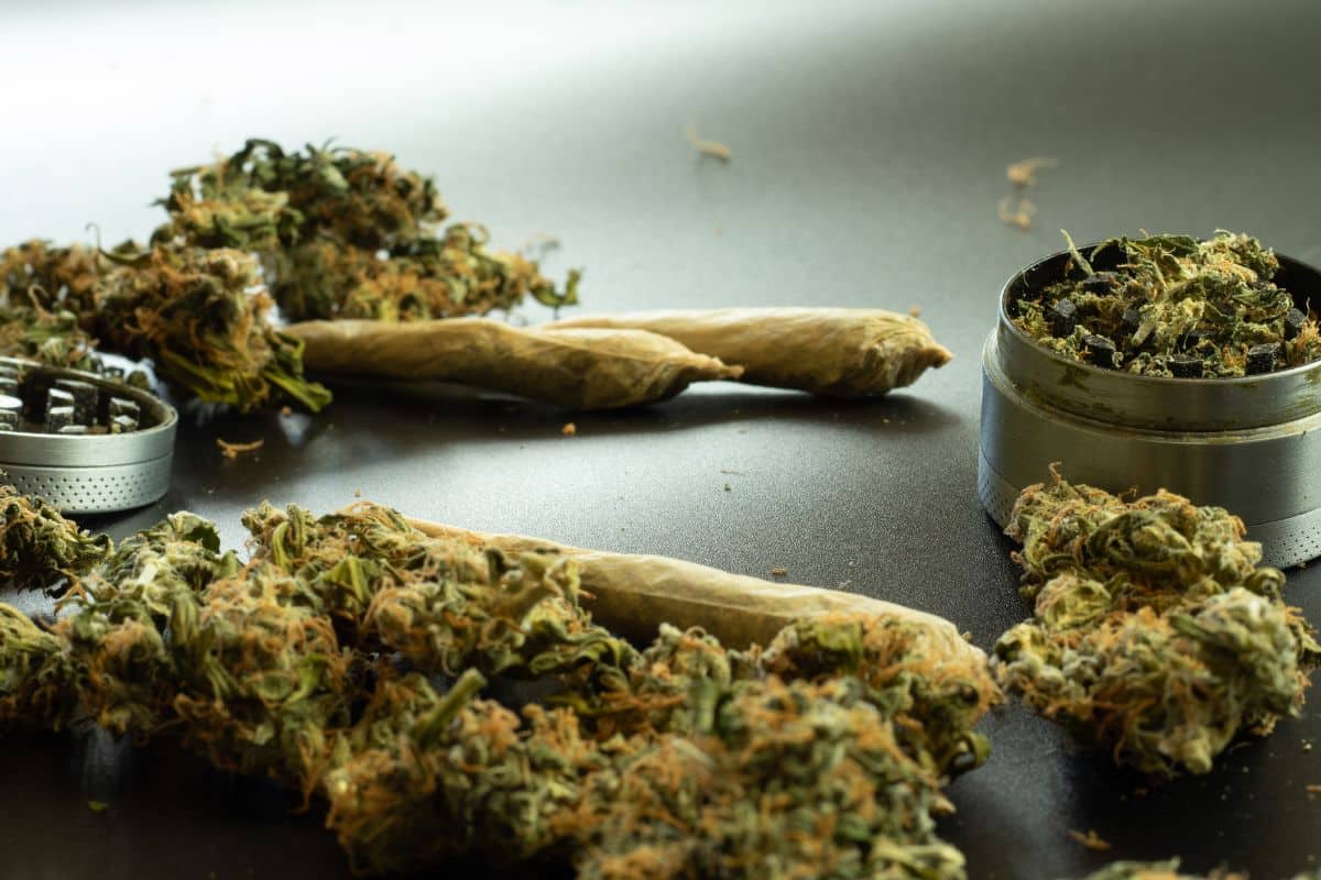 Popcorn buds being used in blunt.