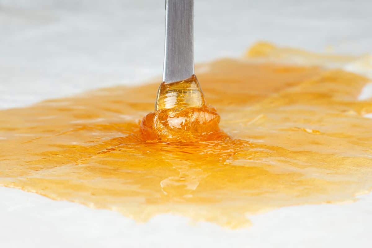 Production & Extraction process of Terp sauce
