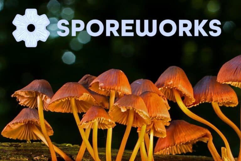 Sporeworks Reviews Banner