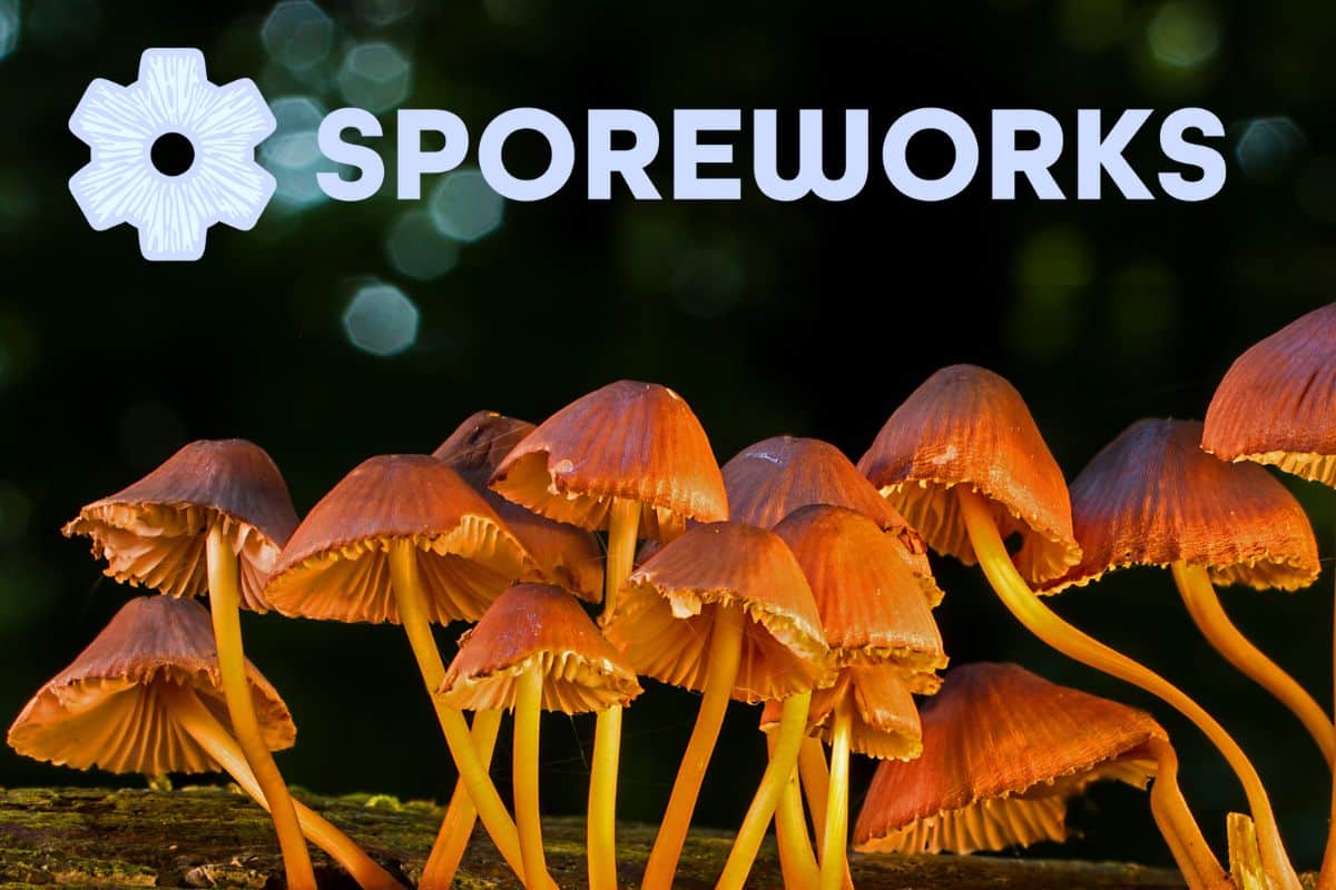 Sporeworks Reviews Banner