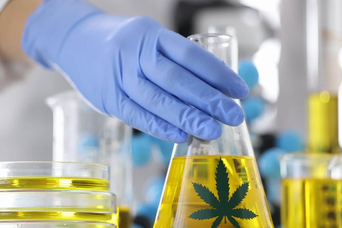 THCa drug Test
